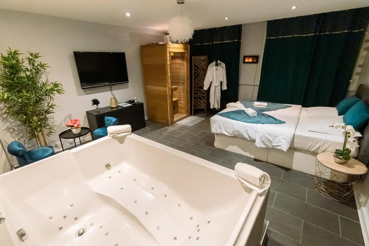 Appartement Cosy Avec Sauna Et Spa Privatifs Lyon