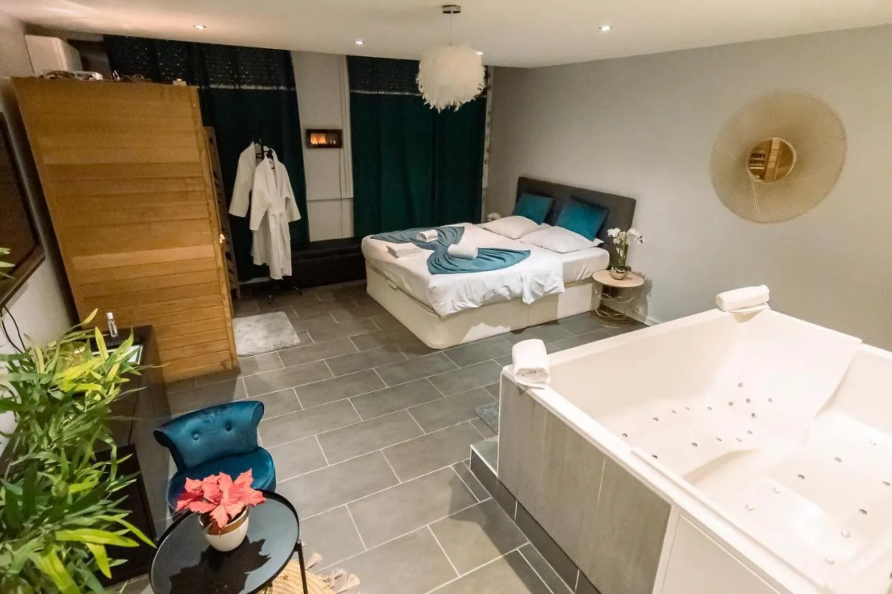 Appartement Cosy Avec Sauna Et Spa Privatifs Lyon France
