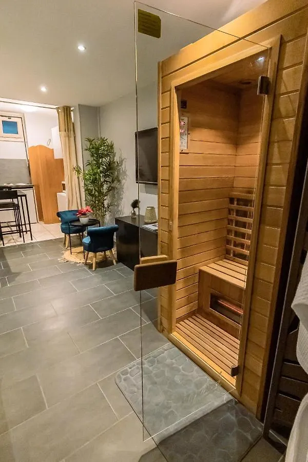 Appartement Cosy Avec Sauna Et Spa Privatifs Lyon 0*,