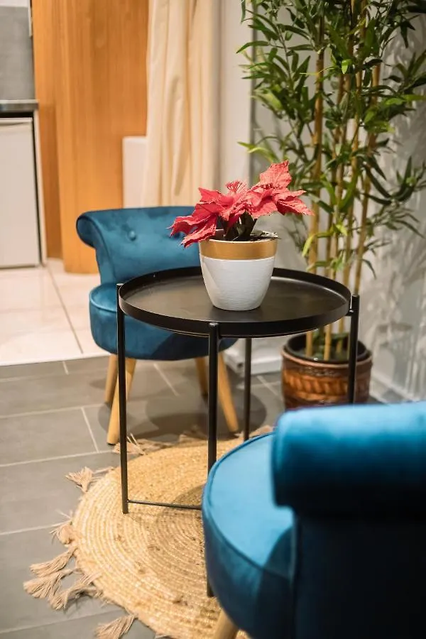 Appartement Cosy Avec Sauna Et Spa Privatifs Lyon