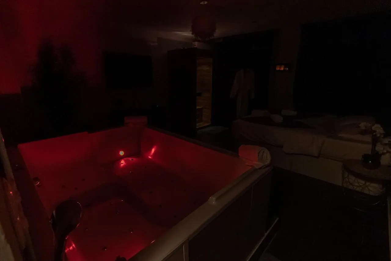 Appartement Cosy Avec Sauna Et Spa Privatifs Lyon