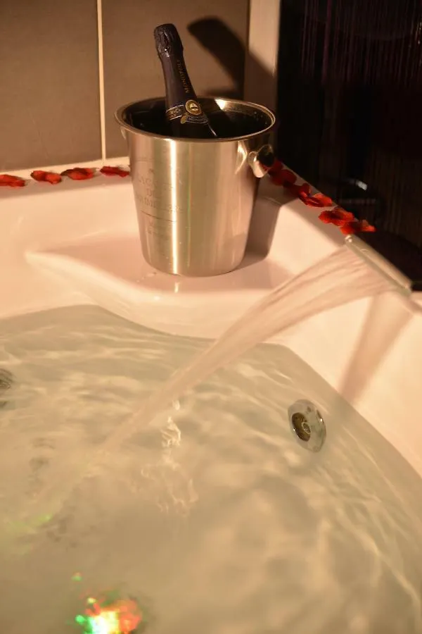 Appartement Cosy Avec Sauna Et Spa Privatifs Lyon France